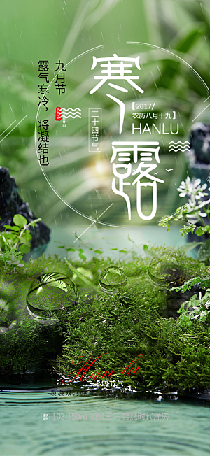 简约风传统寒露二十四节气海报