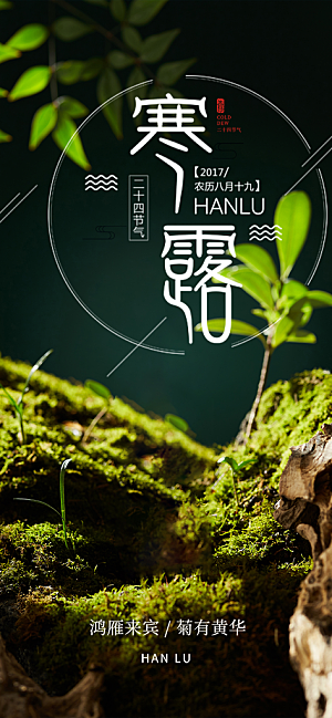 简约风传统寒露二十四节气海报
