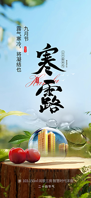 简约风传统寒露二十四节气海报