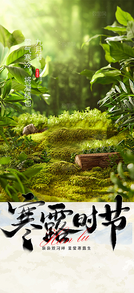 简约风传统寒露二十四节气海报