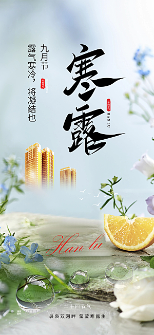 简约风传统寒露二十四节气海报