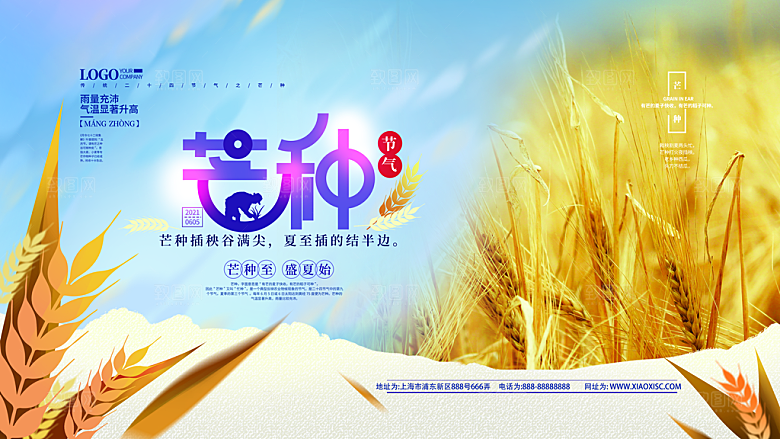 中国传统二十四节气芒种节气宣传海报