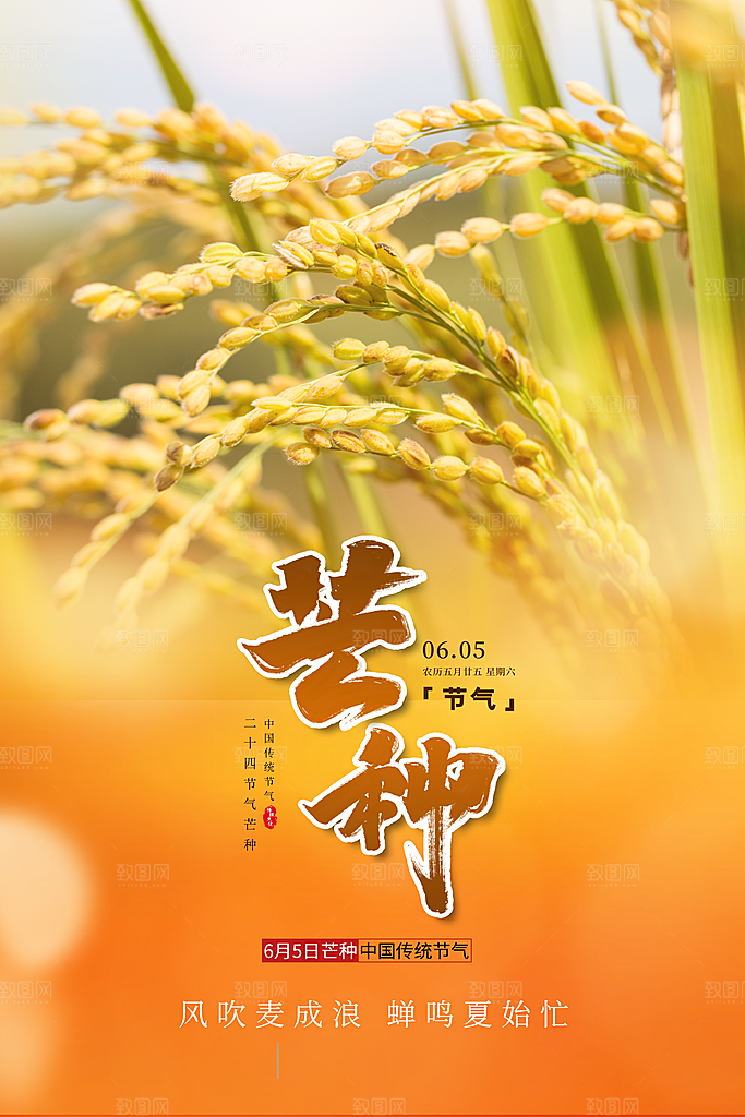 中国传统二十四节气芒种节气宣传海报