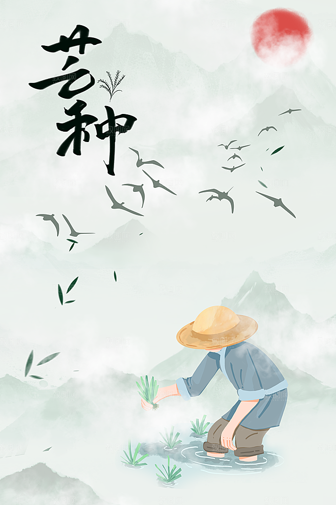 中国传统二十四节气芒种节气宣传海报
