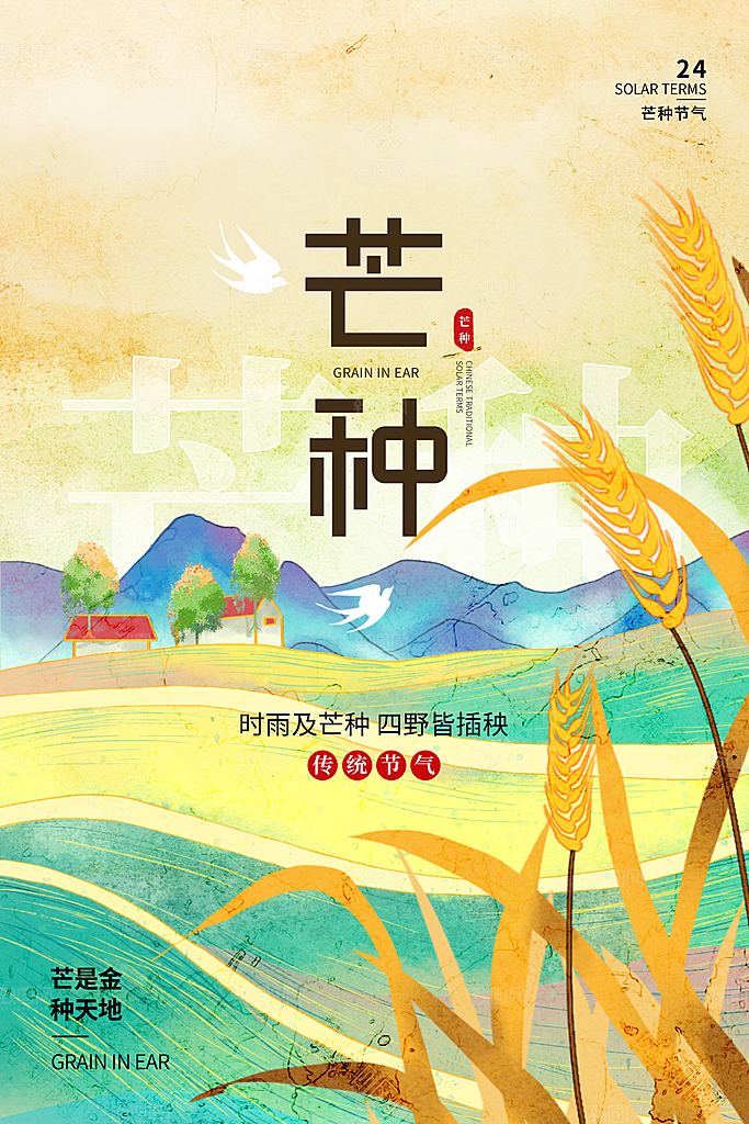 中国传统二十四节气芒种节气宣传海报