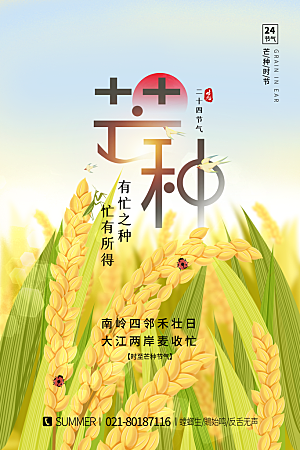 中国传统二十四节气芒种节气宣传海报
