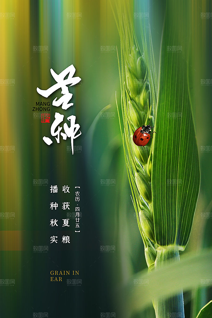 中国传统二十四节气芒种节气宣传海报