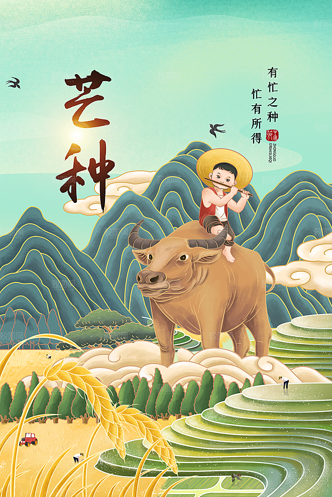 中国传统二十四节气芒种节气宣传海报