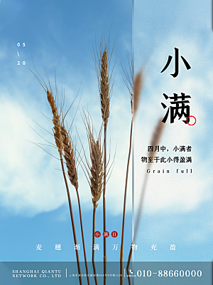 中国传统二十四节气芒种节气宣传海报