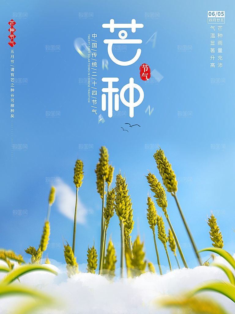 中国传统二十四节气芒种节气宣传海报