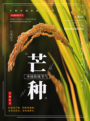 中国传统二十四节气芒种节气宣传海报