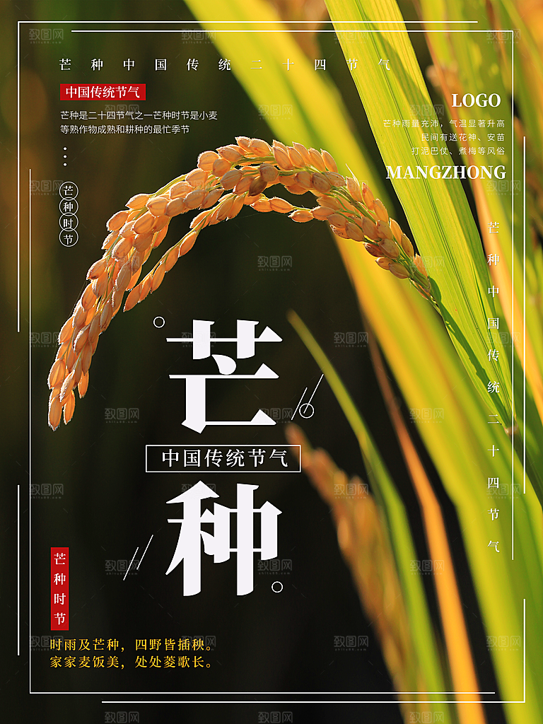 中国传统二十四节气芒种节气宣传海报