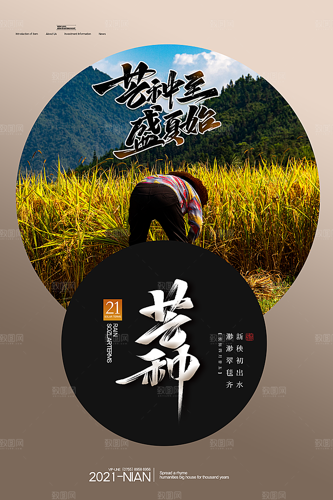 中国传统二十四节气芒种节气宣传海报