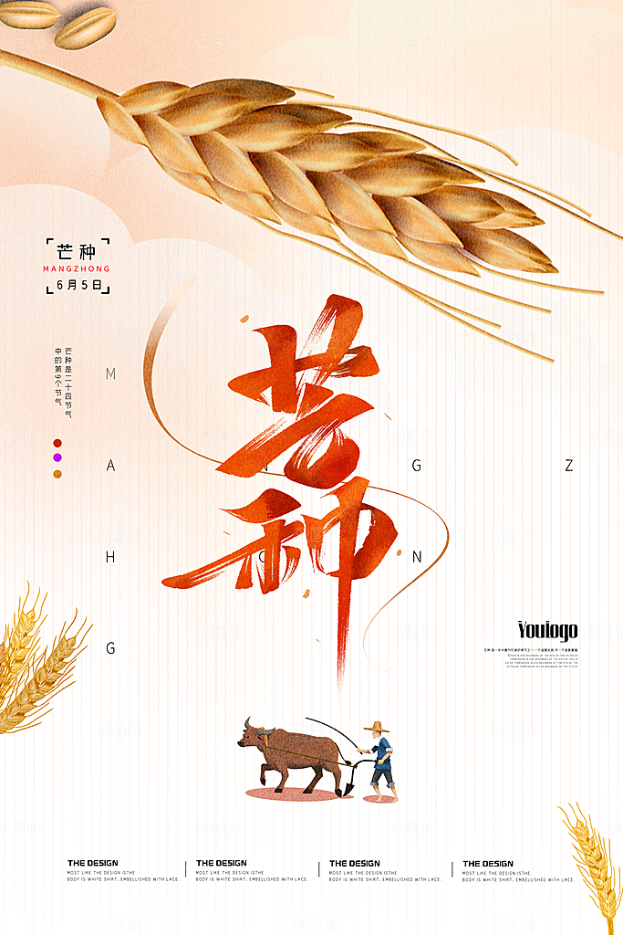 中国传统二十四节气芒种节气宣传海报