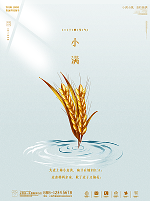 中国传统二十四节气芒种节气宣传海报