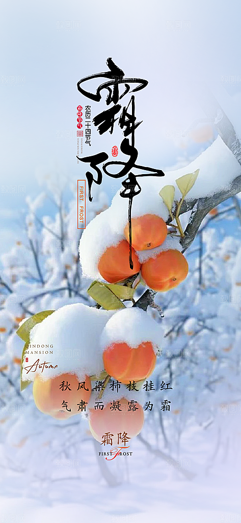 传统节气霜降宣传活动海报