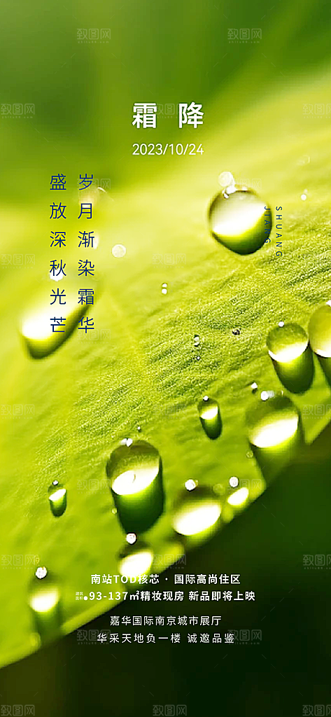 传统二十四节气霜降宣传活动海报