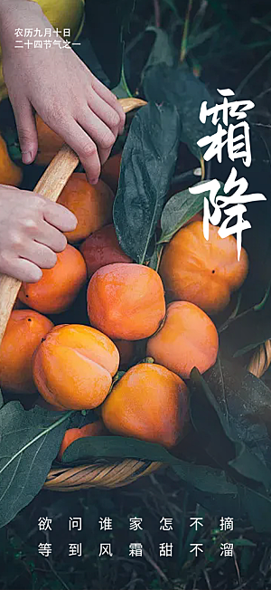 传统二十四节气霜降宣传活动海报