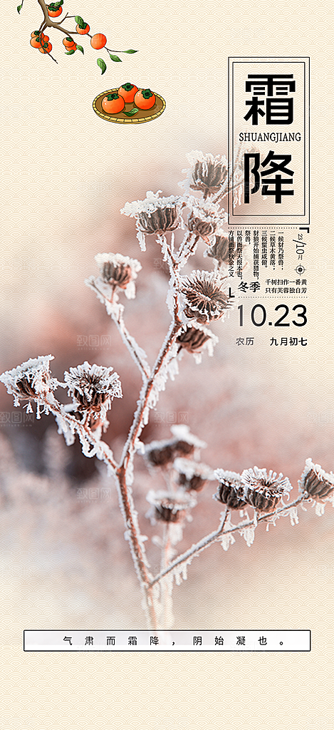 传统二十四节气霜降宣传活动海报