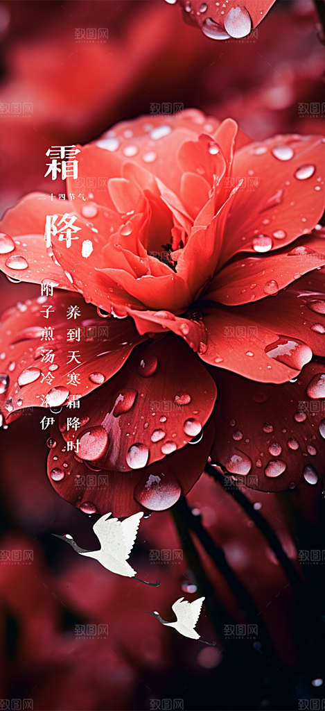 传统二十四节气霜降宣传活动海报