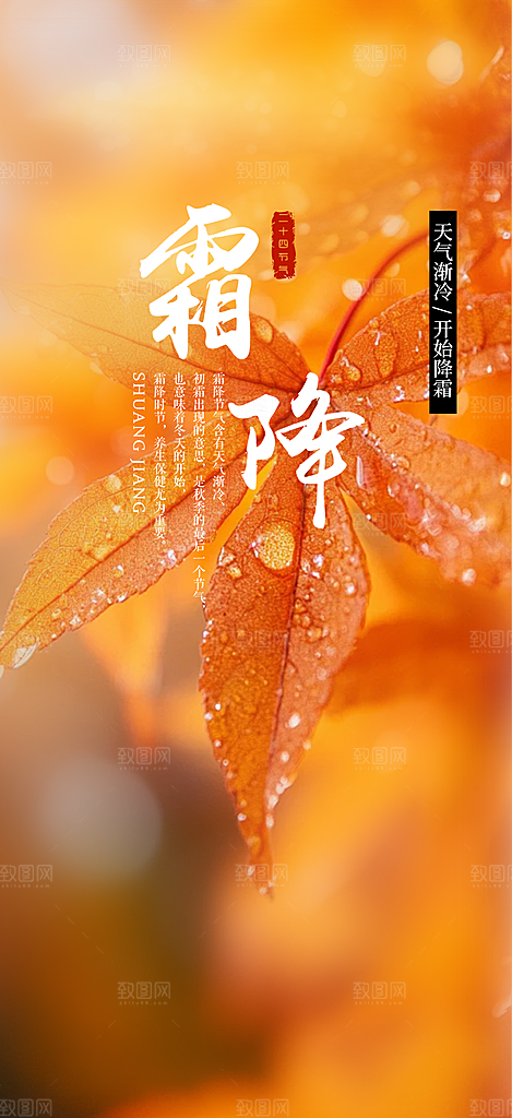 传统二十四节气霜降宣传活动海报