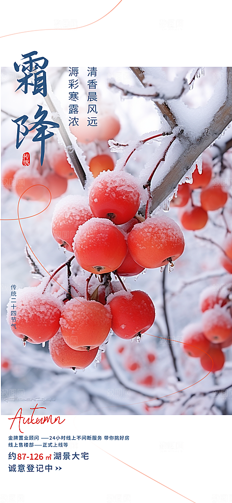 二十四节气霜降活动海报