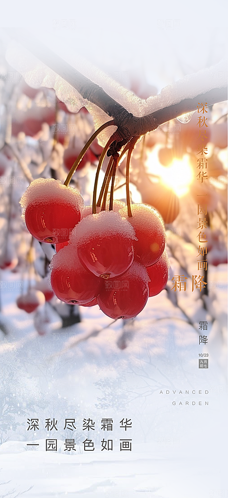 二十四节气霜降活动海报