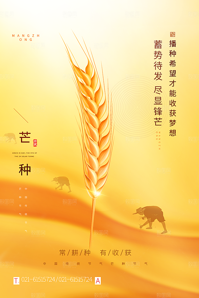 中国传统二十四节气芒种节气宣传海报