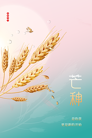 中国传统二十四节气芒种节气宣传海报