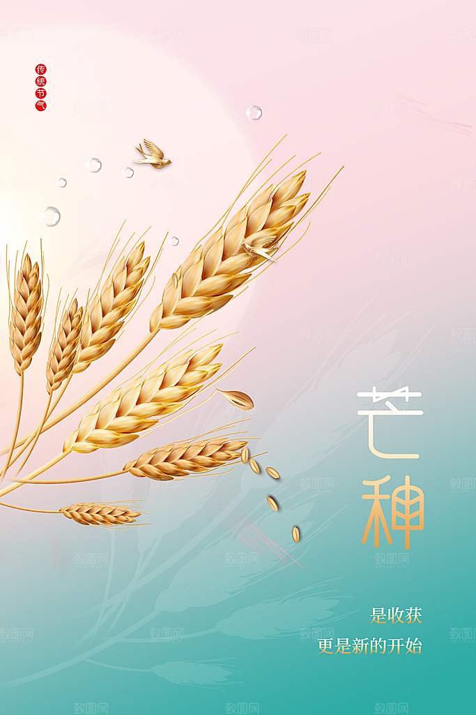 中国传统二十四节气芒种节气宣传海报