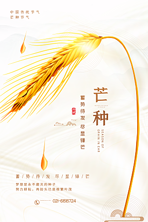中国传统二十四节气芒种节气宣传海报
