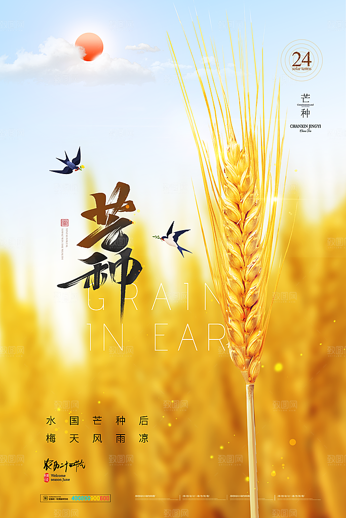 中国传统二十四节气芒种节气宣传海报