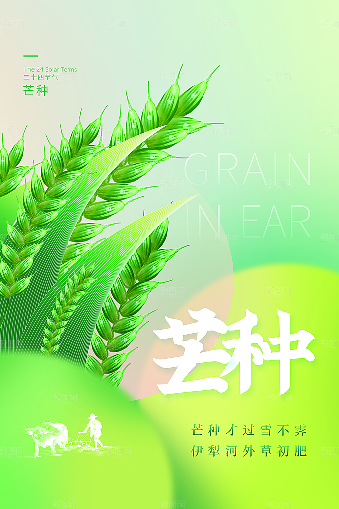 中国传统二十四节气芒种节气宣传海报