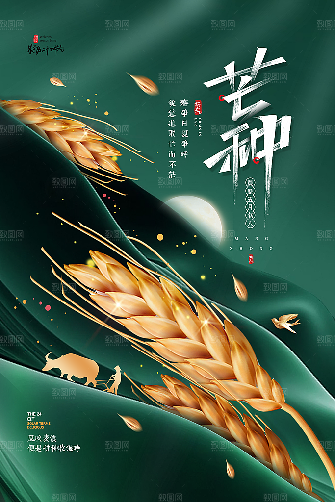 中国传统二十四节气芒种节气宣传海报