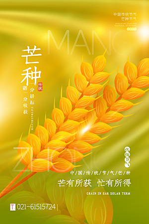 中国传统二十四节气芒种节气宣传海报