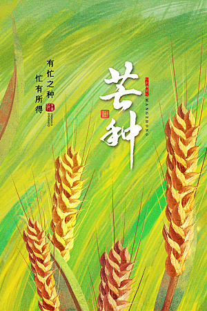 中国传统二十四节气芒种节气宣传海报