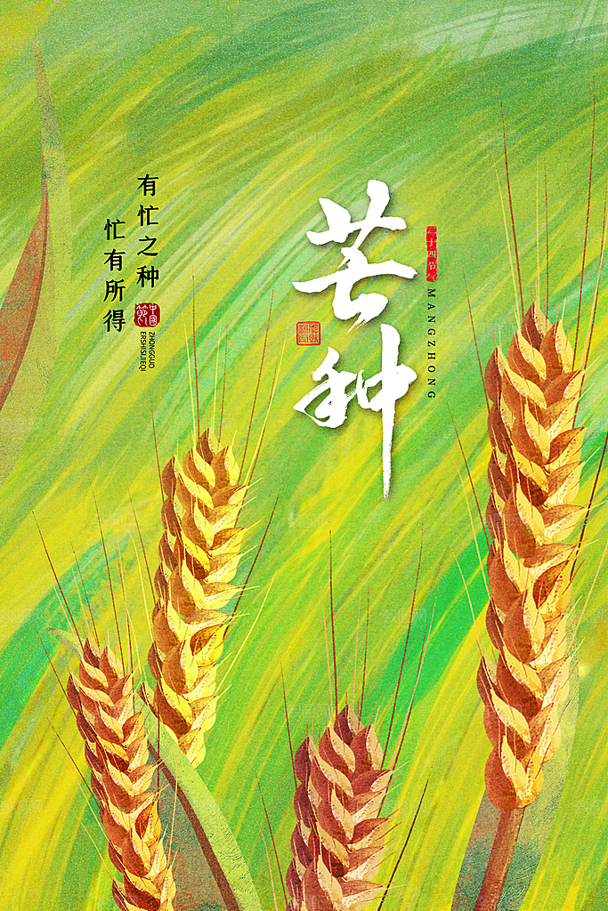 中国传统二十四节气芒种节气宣传海报