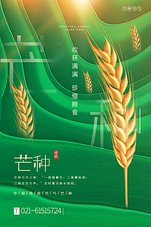 中国传统二十四节气芒种节气宣传海报