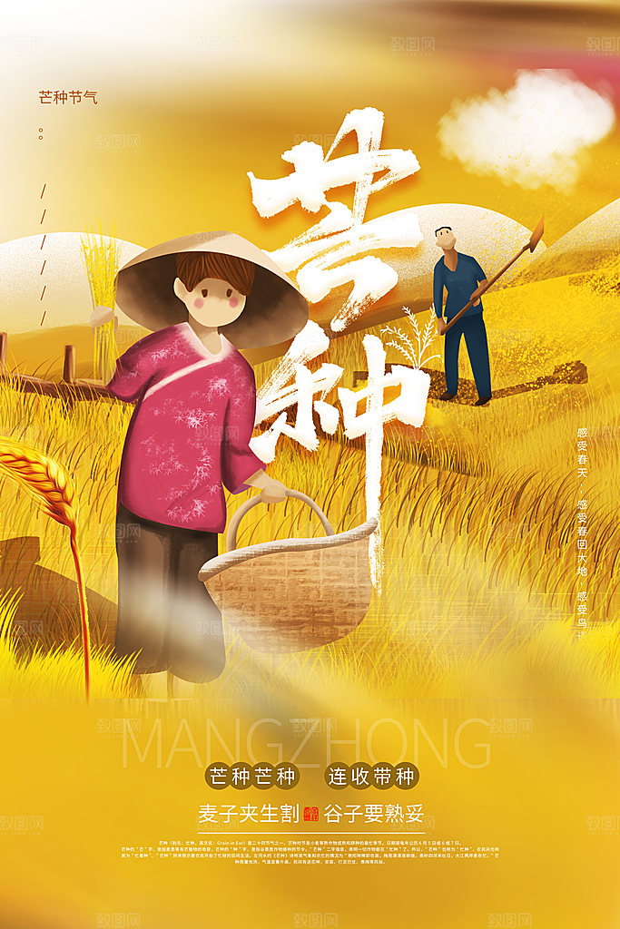 中国传统二十四节气芒种节气宣传海报