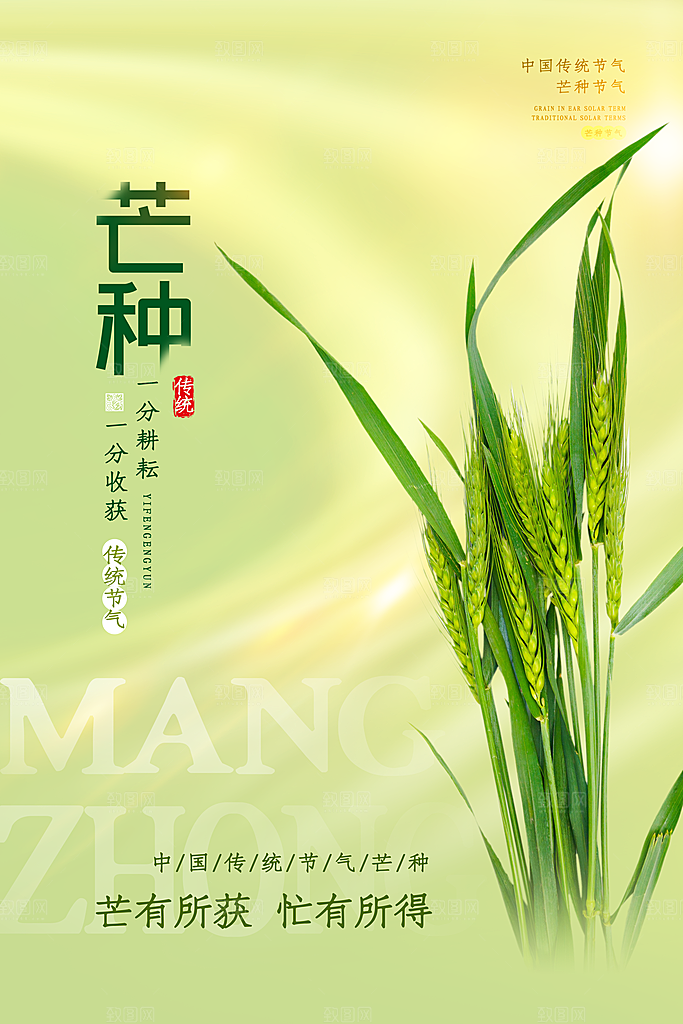 中国传统二十四节气芒种节气宣传海报