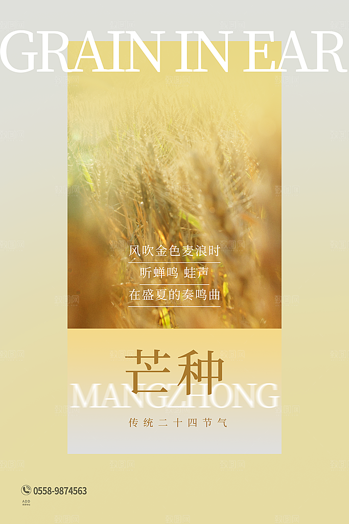 中国传统二十四节气芒种节气宣传海报