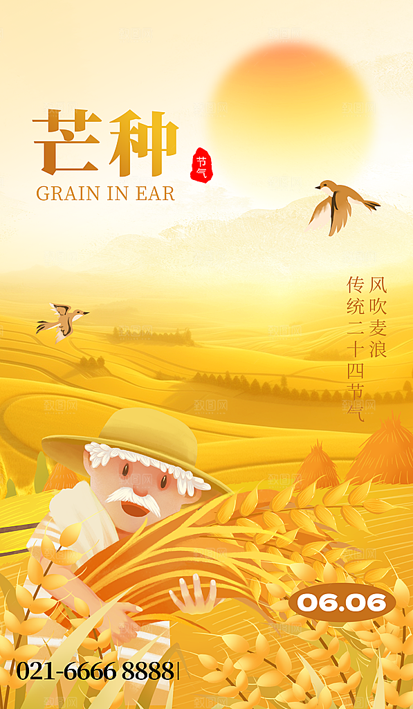 中国传统二十四节气芒种节气宣传海报