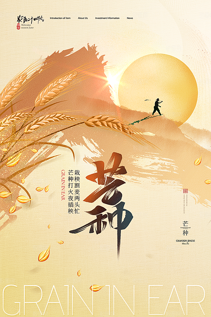 中国传统二十四节气芒种节气宣传海报