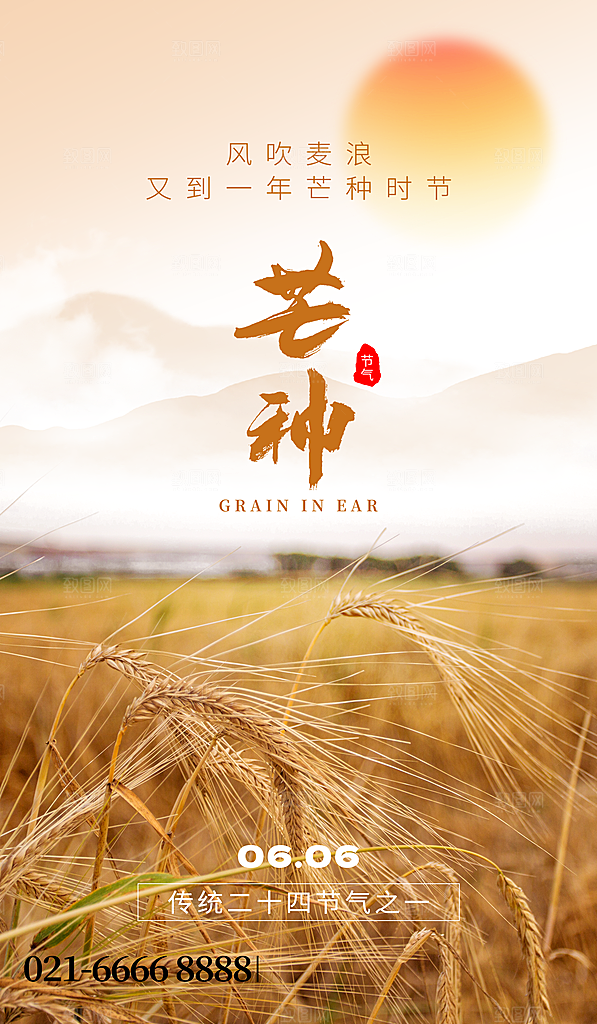 中国传统二十四节气芒种节气宣传海报