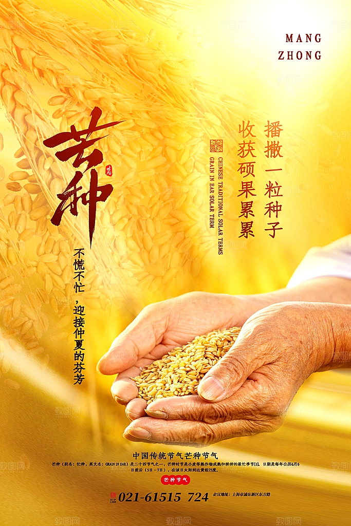 中国传统二十四节气芒种节气宣传海报