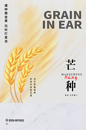 中国传统二十四节气芒种节气宣传海报