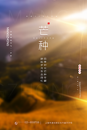 中国传统二十四节气芒种节气宣传海报