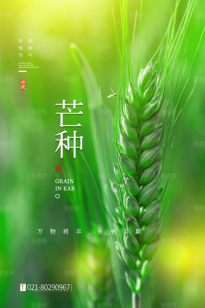 中国传统二十四节气芒种节气宣传海报