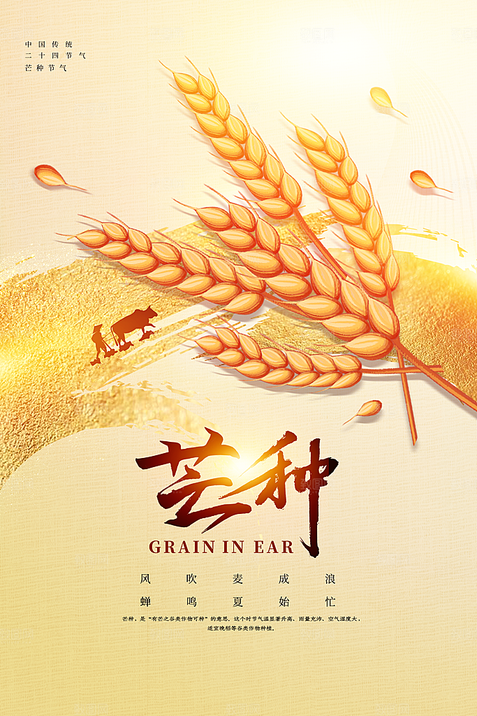中国传统二十四节气芒种节气宣传海报