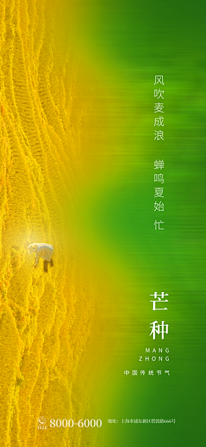 中国传统二十四节气芒种节气宣传海报